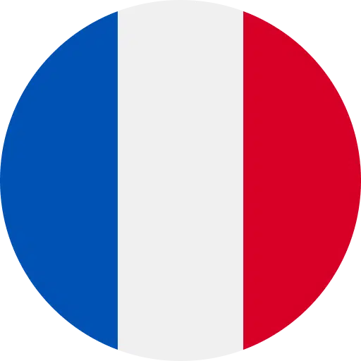 France Flag