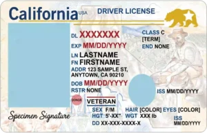 real identity look like template